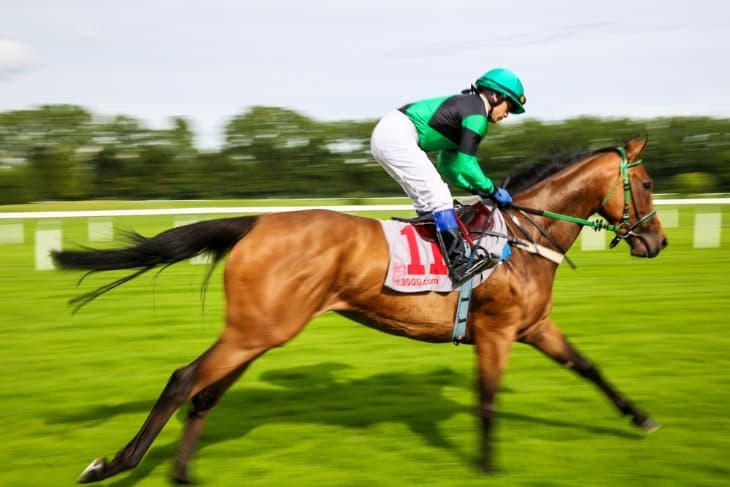 Understanding Cheltenham Odds