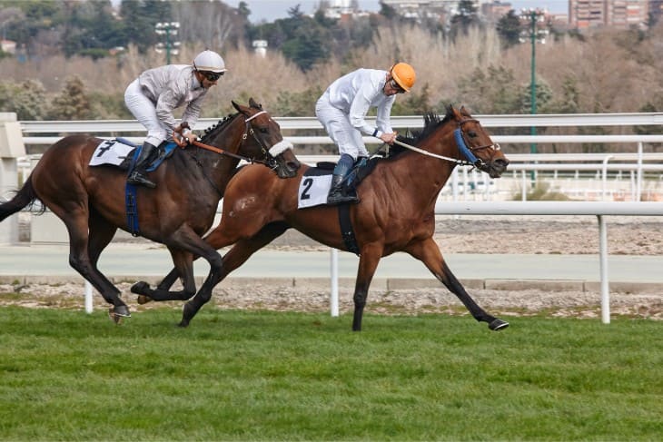 1000 Guineas 1-2 Amongst the 3yo Entries