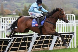 2024 Cheltenham November Meeting: Day 2 Preview