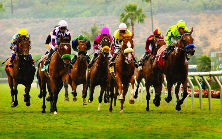 2024 Preakness Stakes Preview