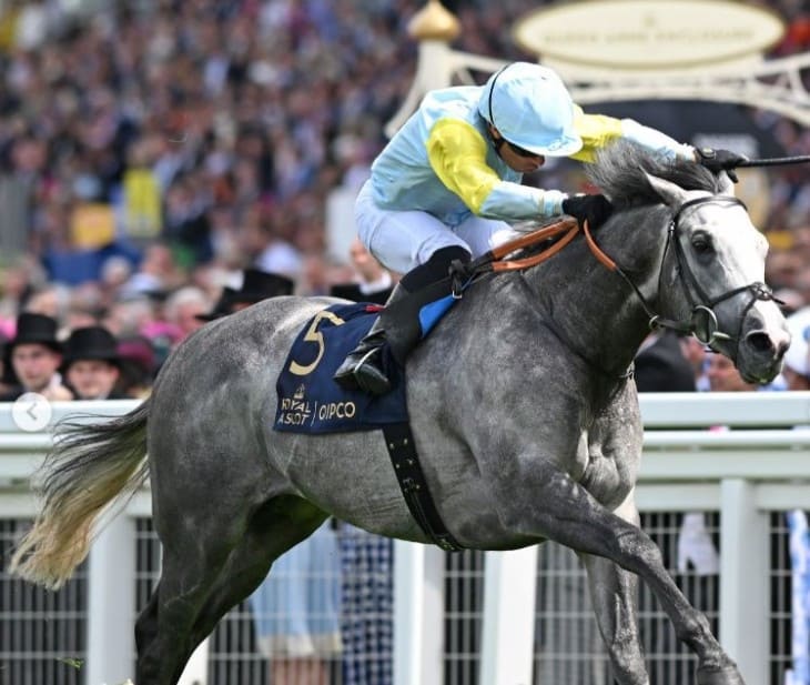 2024 Qipco British Champion Stakes: Soft Ground Analysis