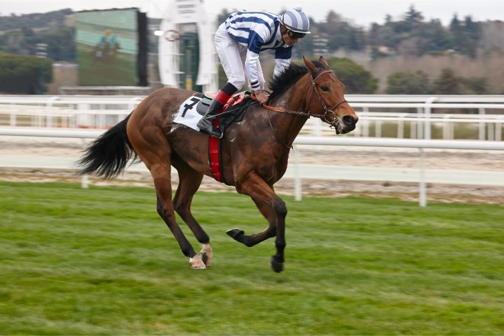 225 Bonhams Thoroughbred Stakes, 1m, Group 3