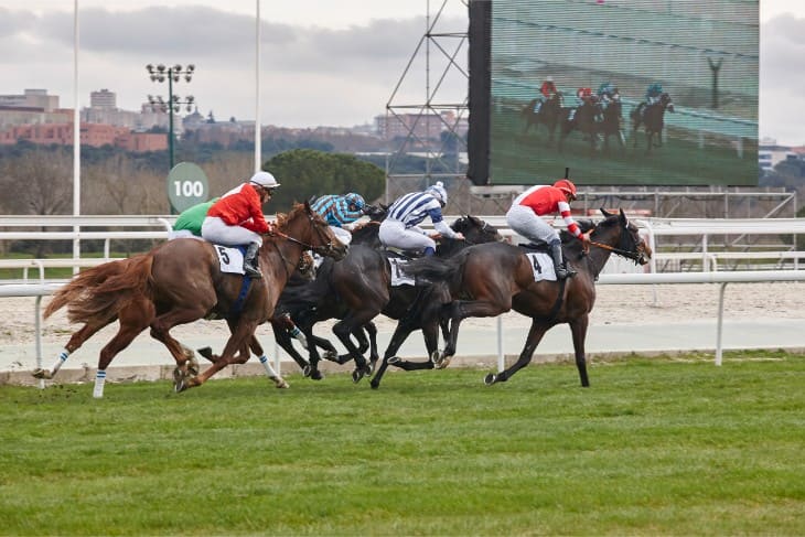 225 Weatherbys Hamilton Lonsdale Cup Stakes, 2m½f, Group 2