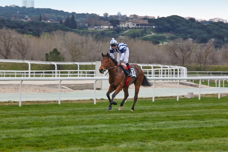 315 Queen Elizabeth II Stakes, 1m, Group 1