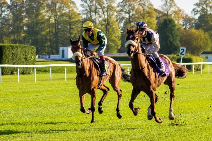 Key Factors Influencing Handicap Races