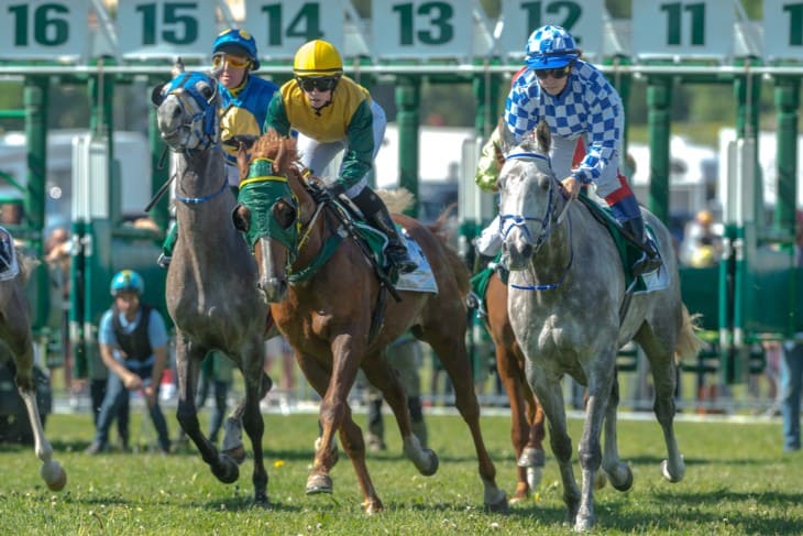 Picking Winners: A Guide to Successful Grand Slam Bets in Horse Racing