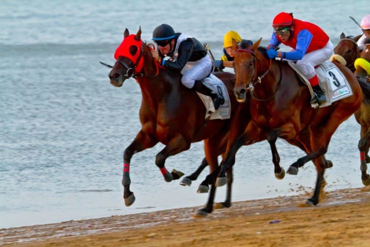 The Impact of Track Conditions on Handicap Races