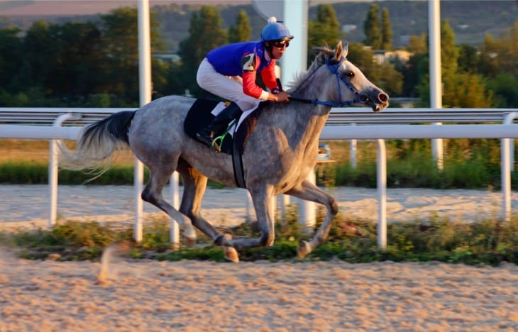 After a tough Cheltenham, Nicky Henderson bounces back