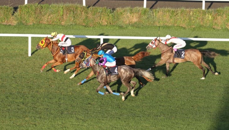 Aintree's Challenge: Unveiling the Racecourse Features