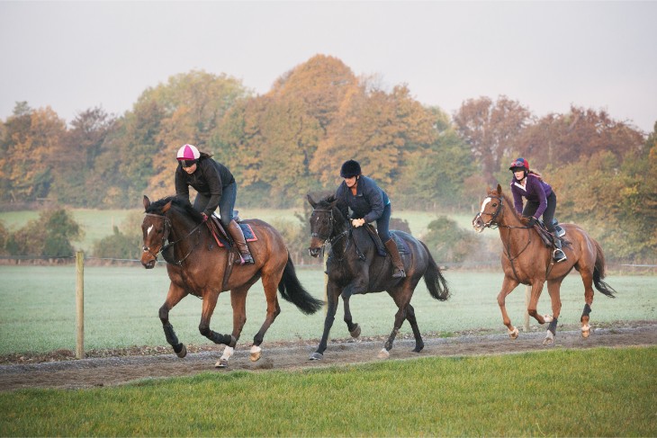 Albert Bartlett Novices’ Hurdle Preview: General to Strike