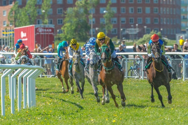 The Art of Hedging: Smart Betting Strategies for Horse Races