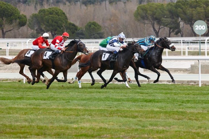 Ascot Stakes, Handicap - 2 Miles and 3 Furlongs 