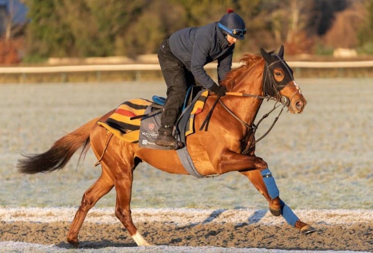 Ayr – Arran Scottish Sprint EBF Fillies’ Stakes