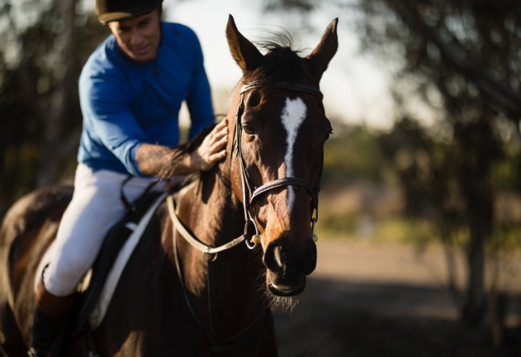 Ayr Gold Cup 2024: 21st Century Trends