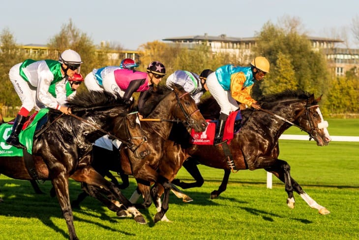 Best Horse Racing Betting Welcome Offers