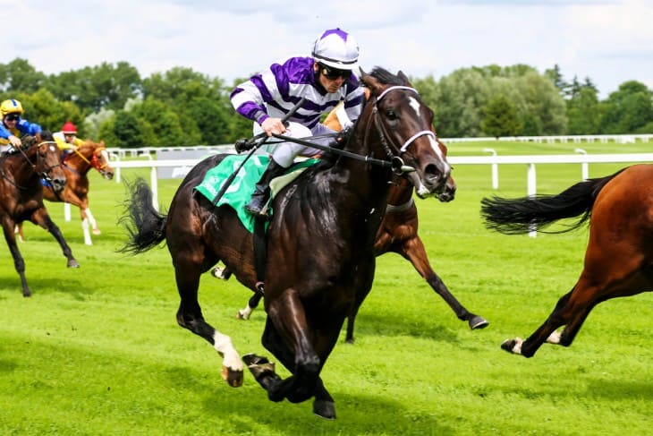 Best Horse Racing Betting Sites in the UK in 2024