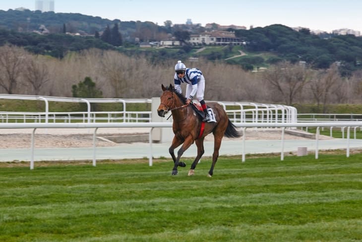 bet365 Handicap Chase