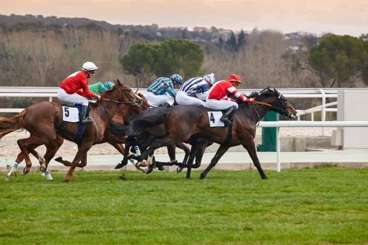 Betfred Tommy Whittle Handicap Chase Preview: Look East for the Winner