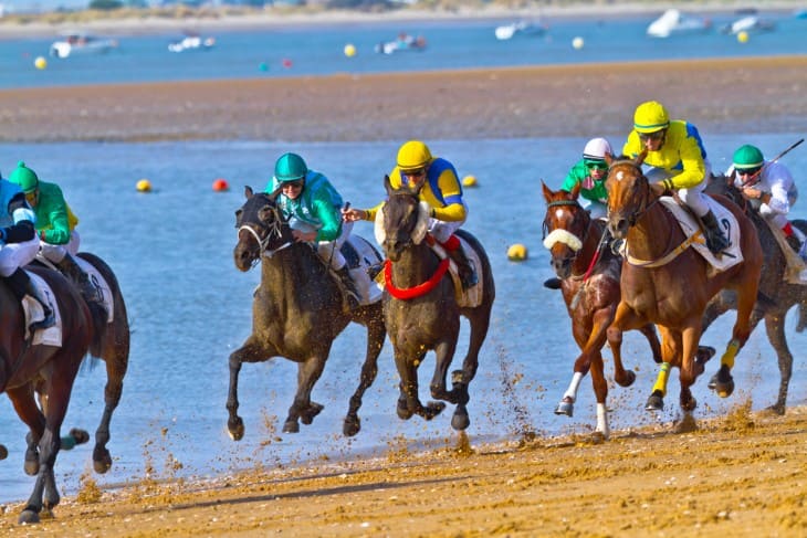 Betting Strategies for Maiden Handicap Races