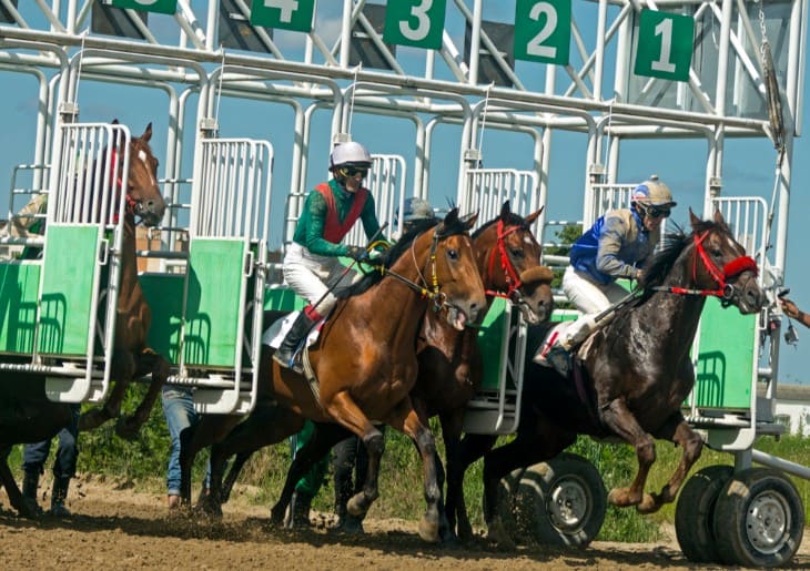 Making Sense of Betting Terminology in Horse Racing