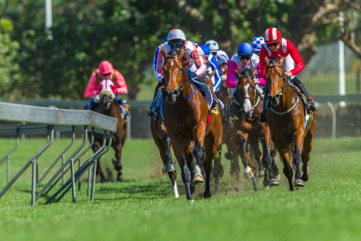 An Analysis of Betting Trends in UK Horse Racing