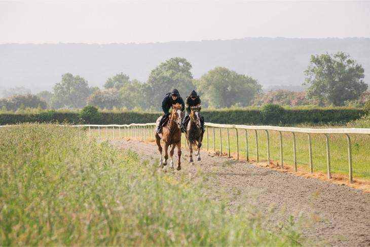 BetVictor Greatwood Gold Cup Handicap Chase: Ten-Year Trends