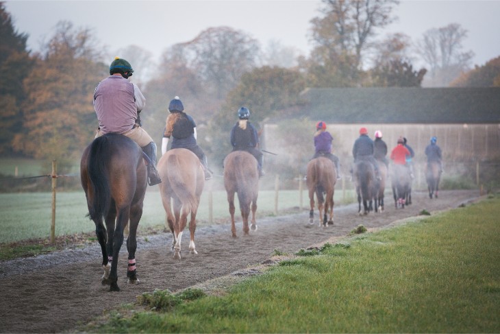 2025 Boodles Cheltenham Gold Cup Betting Preview: Galopin Too Good but Star Can Chase Him Home