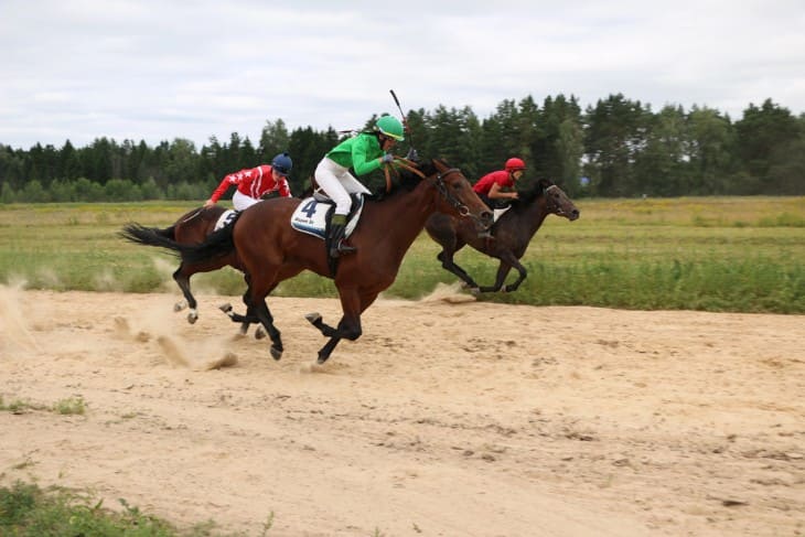 Boodles Raindance Dee Stakes (1 mile and 2 furlongs)