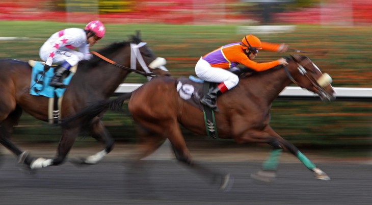 Bookmarkers in Horse Racing