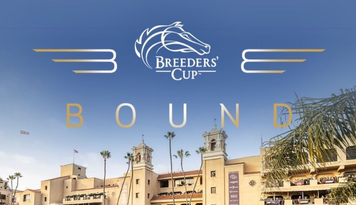 Breeders Cup 2024 Best Bets: Double Delight for Flying Fillies?