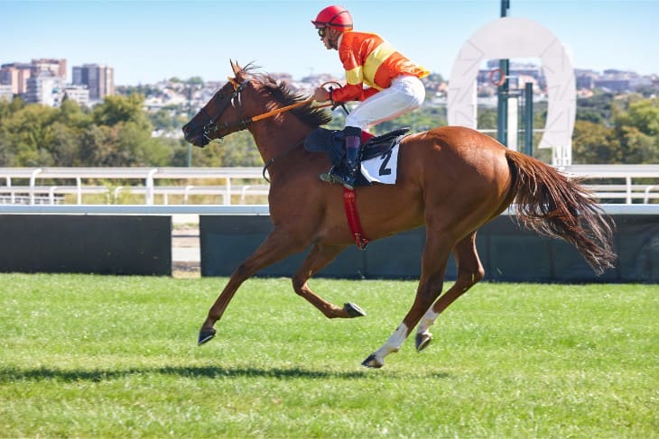 Carlsberg Danish Pilsner Flying Childers Stakes