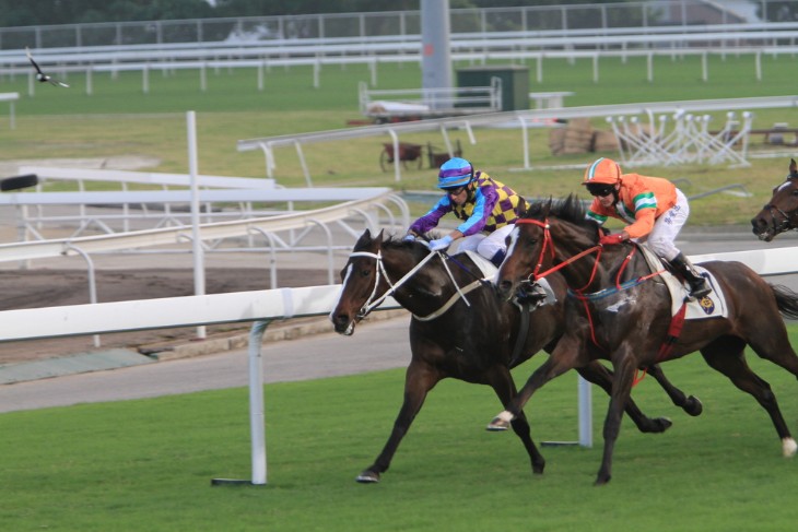 Challenges and Maintenance of Tapeta Tracks