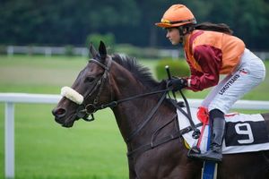 Ladies Day at Cheltenham