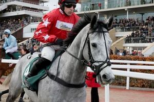 Cheltenham November Meeting 2024: Skeltons Keep the Good Times Rolling