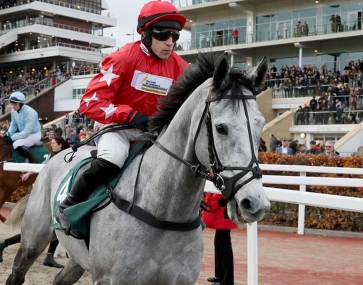 Cheltenham November Meeting 2024: Skeltons Keep the Good Times Rolling