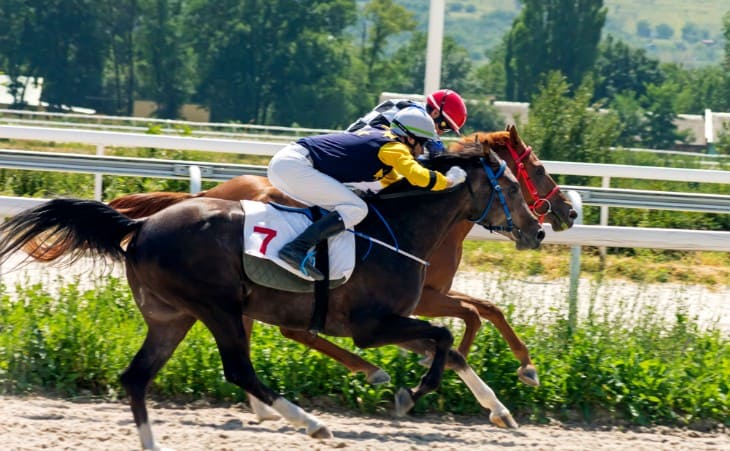 Cheltenham Trials More than Just Races