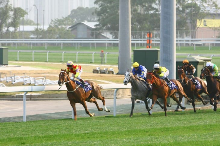 Close Horse Race on A Dirty Surface