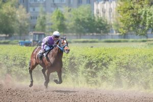 Memories of the Race: Collecting Grand National Memorabilia