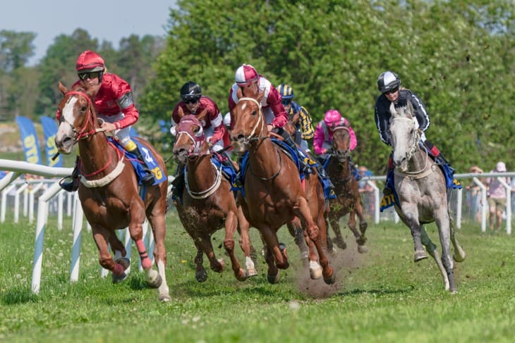 Conquering the Pick 9 and Pick 10 Horse Racing Bets