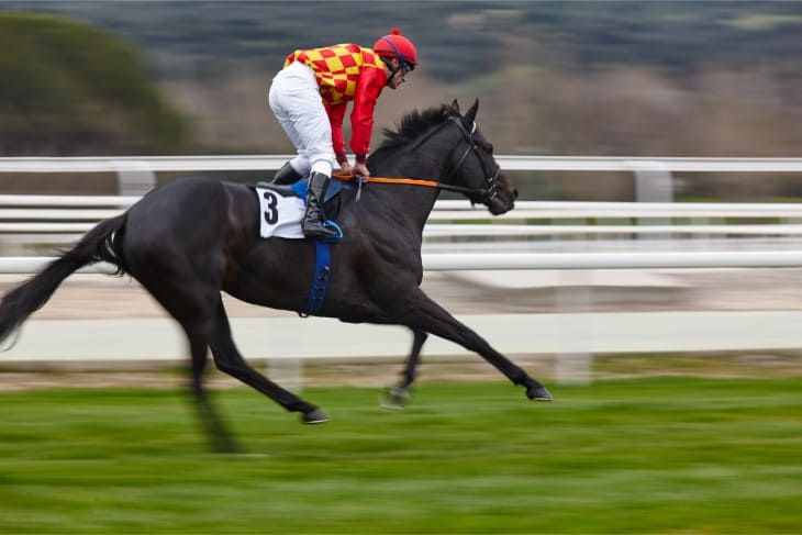 Coral Gold Cup Handicap Chase