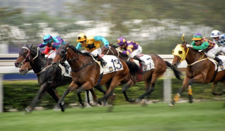 Buying a Racehorse: Costs