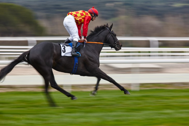 Coventry Stakes, Group 2 - 6 Furlongs