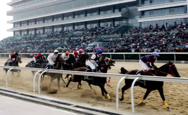 The Impact of Crowds on Horse Racing Performance