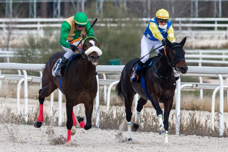 The Pros and Cons of Different Bet Types in Horse Racing