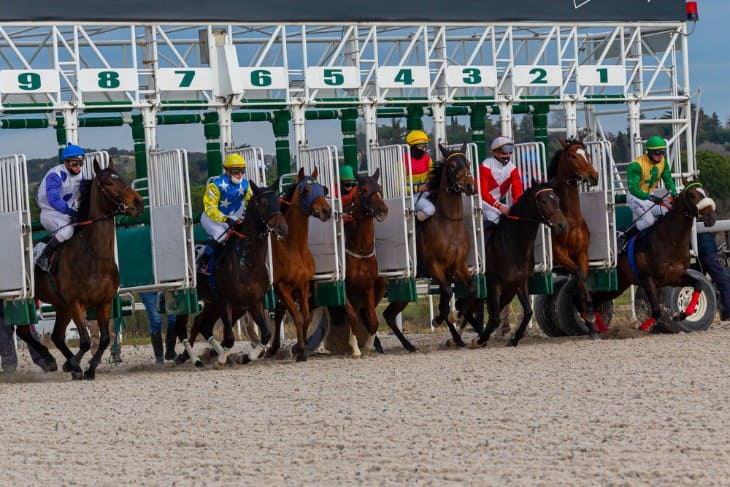 Dime Superfecta: The Affordable Path To Big Horse Racing Wins