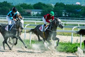 Discovering Racecourse Facilities