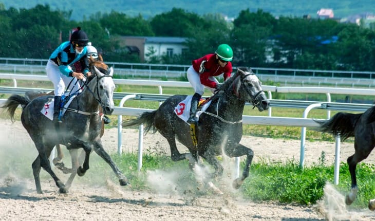 Discovering Racecourse Facilities