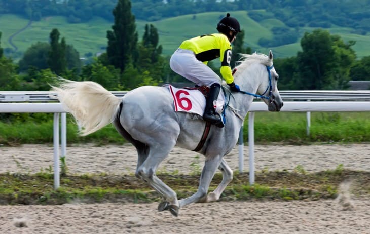 Endurance and Strength Training for Horses