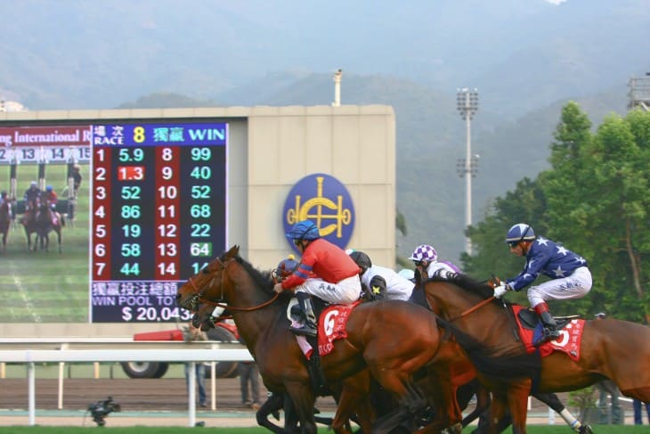 Epic Rivalries at Cheltenham