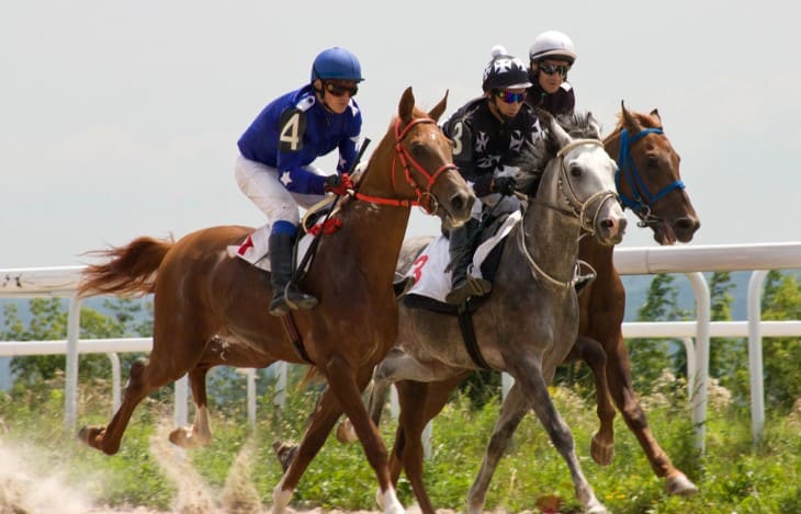 Evaluating Horse Performance in Maiden Races